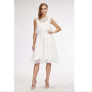 Eva by Eva Franco Lace Midi Dress - Fully lined with scallop hem